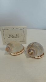 Mini Shell Set