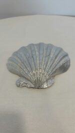 Silver Shell