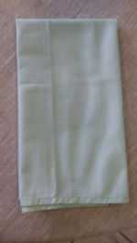 Napkin Mint Cotton